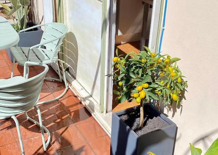 I Tetti Di Via Corradi Sanremo